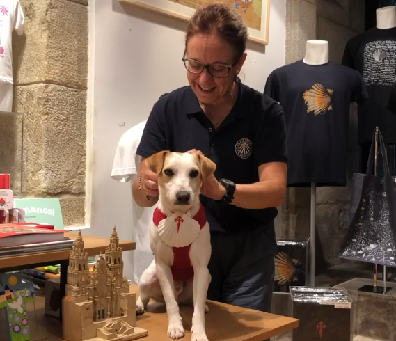 Pipper en Galicia